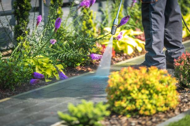 Best Deck and Patio Pressure Washing in Fort Davis, TX